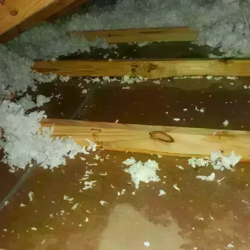 Attic Water Damage in Southampton, NY