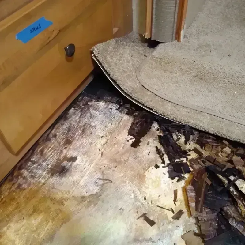 Best Wood Floor Water Damage Service in Southampton, NY